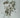 (250 pcs) MP37A Germanium NPN transistor USSR - Miles Car parts & accessories
